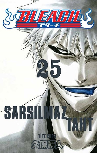 Bleach #25 (Manga)
